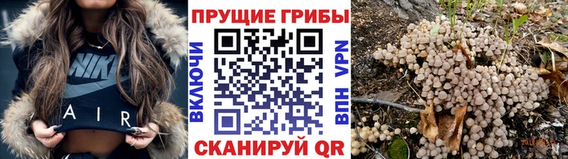 Галлюциногенные грибы мухоморы  ОМГ ОМГ рабочий сайт  Пермь 