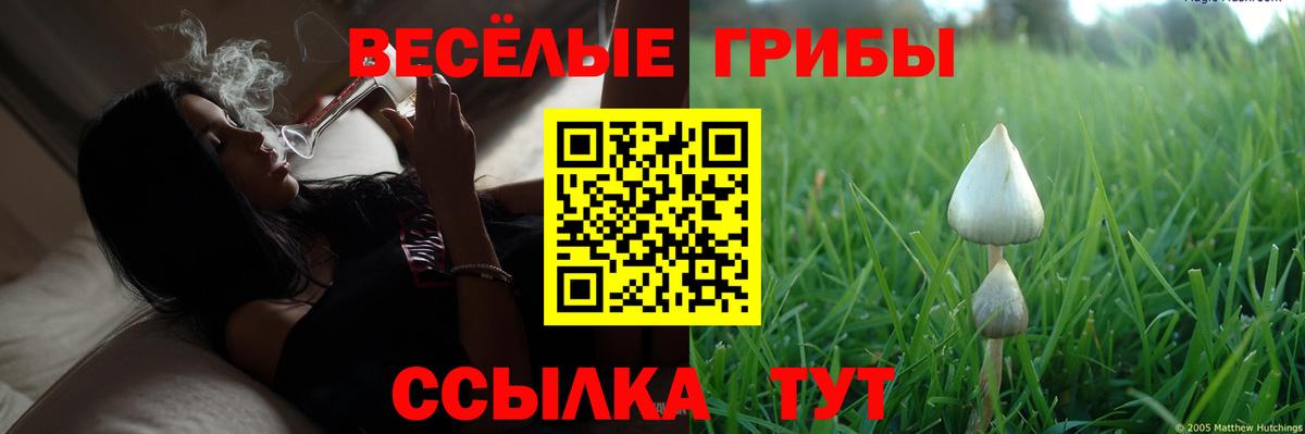 Галлюциногенные грибы мухоморы  Галлюциногенные грибы мицелий  Пермь  Вход с VPN 